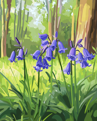 Bluebell Serenity