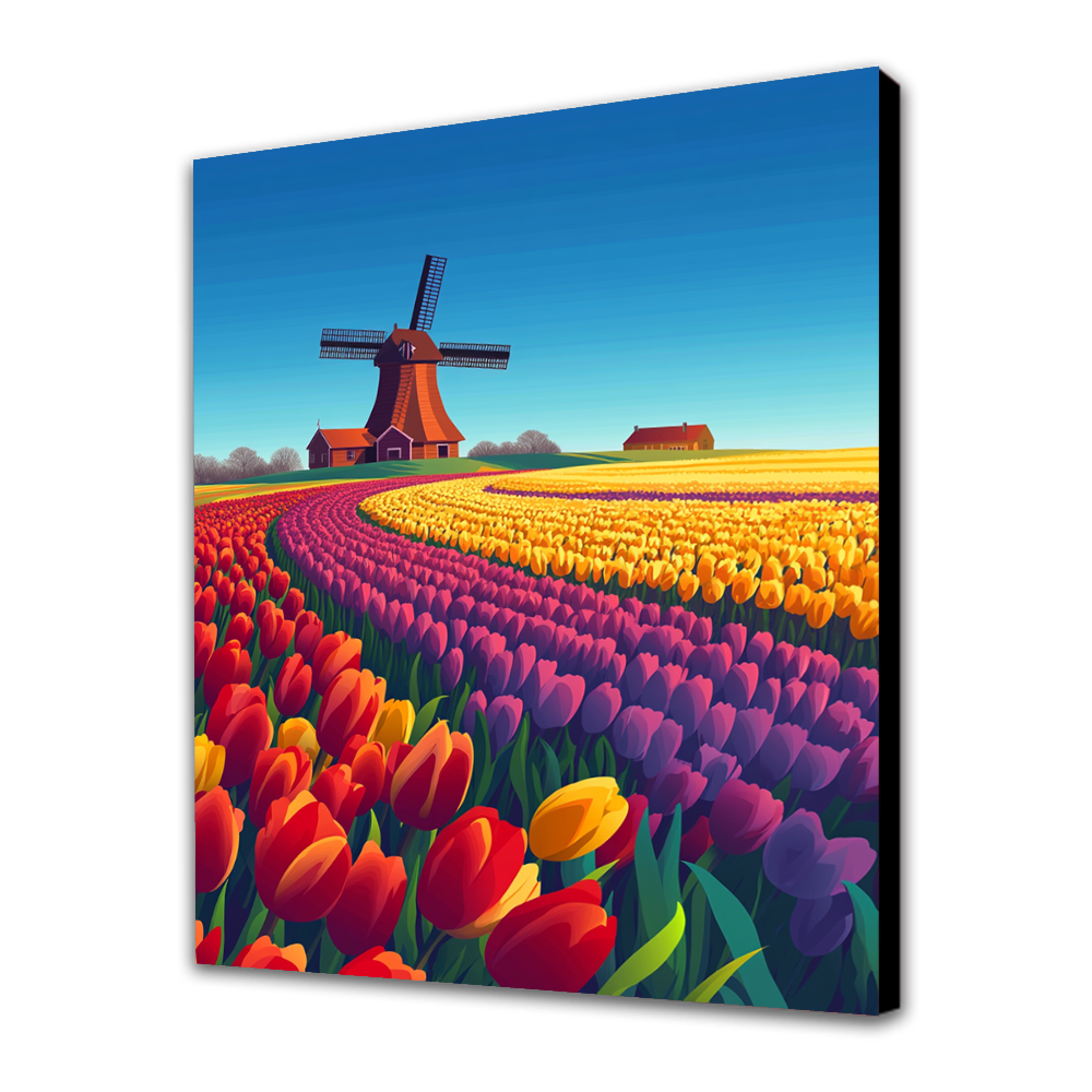 Tulip Fields